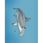 donations for fin