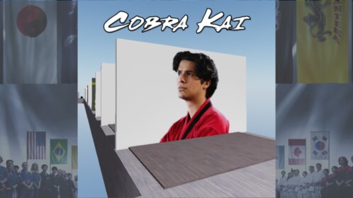 🥋Guess the Cobra kai Character! 2 [VERY EASY]👊🥋