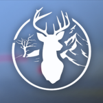 Palmora State Roleplay I WL