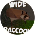 Wide Raccoon's LAYER