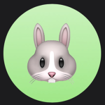 *.Hopping Bunny Dance Company.*
