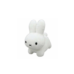 ☁️✧.
