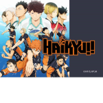 Anime Haikyu