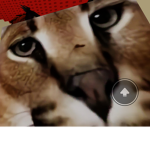 lol my profile picture