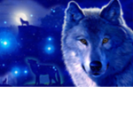 ~ Dark Fire Wolf~