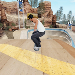 Skate icon