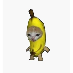 banana cat