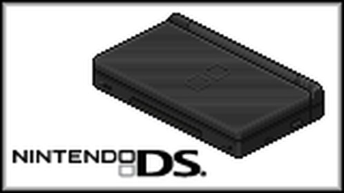 DS Simulator 