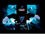 Shadow Ninja's op