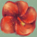 Hibiscuses