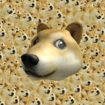 Doge attire