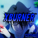 みﾒ XBurner
