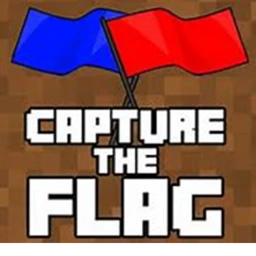 Capture the flag icon