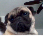 Lolas Facebook