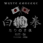 白拳 | White Knuckle
