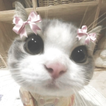 ୨ৎbxbydollz୨ৎ