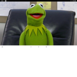 Frog frog frog u frog