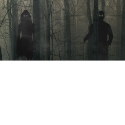 the creepy forest