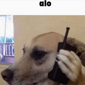 Telephone dog