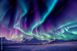 aurora studioz