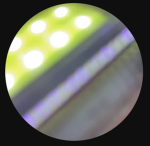 Skipper Gamer YT Fan Group!