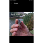 Fans bro boring nothing