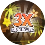 3X Points