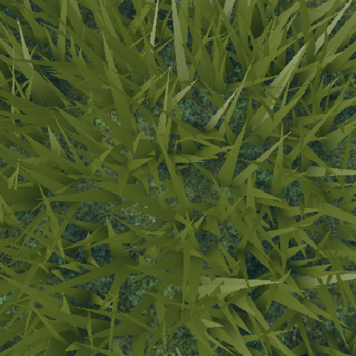 Watermeloia-Local-45