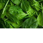 vegetables taste bad