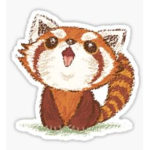 Red panda OOF group