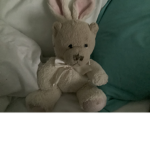 The Bunny Bear Squad!