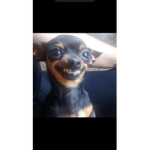 Ur mom is funny