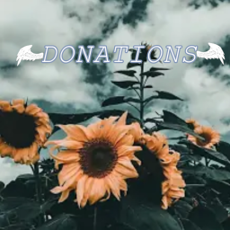 ~+ Donations! +~
