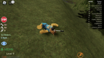Game building (you can ask for ideas in game)