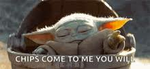 YODA TEAM~Maya_watermelon~