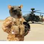 Rats United MEGA