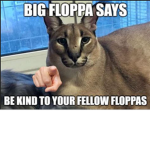 THE HOMIE SAGA