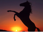 Mythical Power