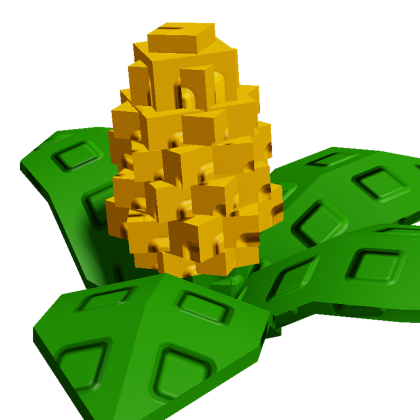 Corn
