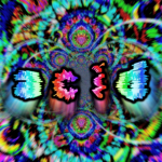 [[ A C I D ]]