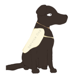 .•— Service Paws —•.