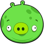 pigg store