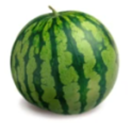 Melon's Studios Donations