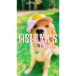 Ashlyn’s Closet xx