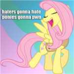 Association Of Bronies And Pegasisters