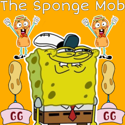 SPONGE MOB RAIDS