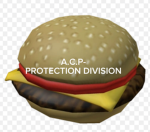 A.C.P-PROTECTION DIVISION