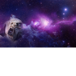 Pugz Clan