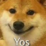 y o s