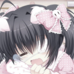 kwittypaws ۶ৎ